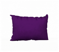 Velveteen Pillow Cover - "From the Dream Maker 2" 20x14